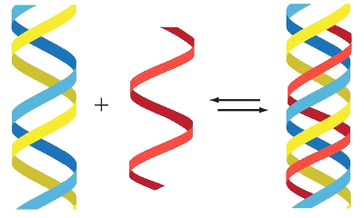Concepto imaginario de una ADN con triple hélice