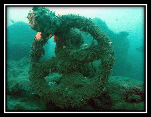 Una rueda de carro en el Mar Rojo