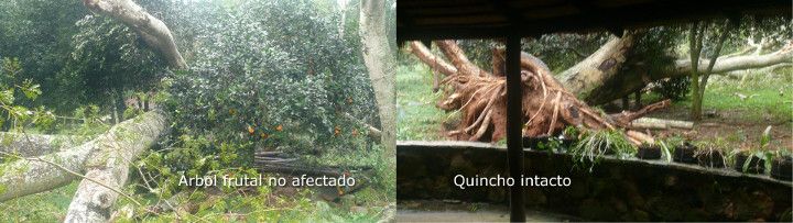 Ningun daño